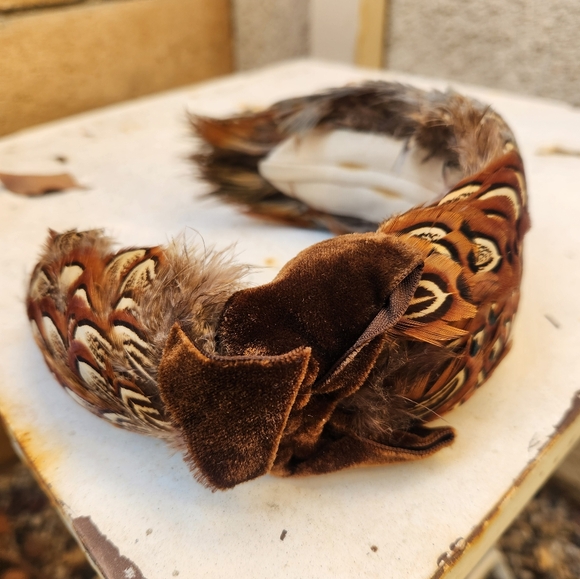 1950s pheasant feather headband main image 6